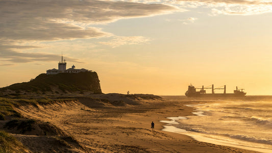 Newy Tees update: April 2025